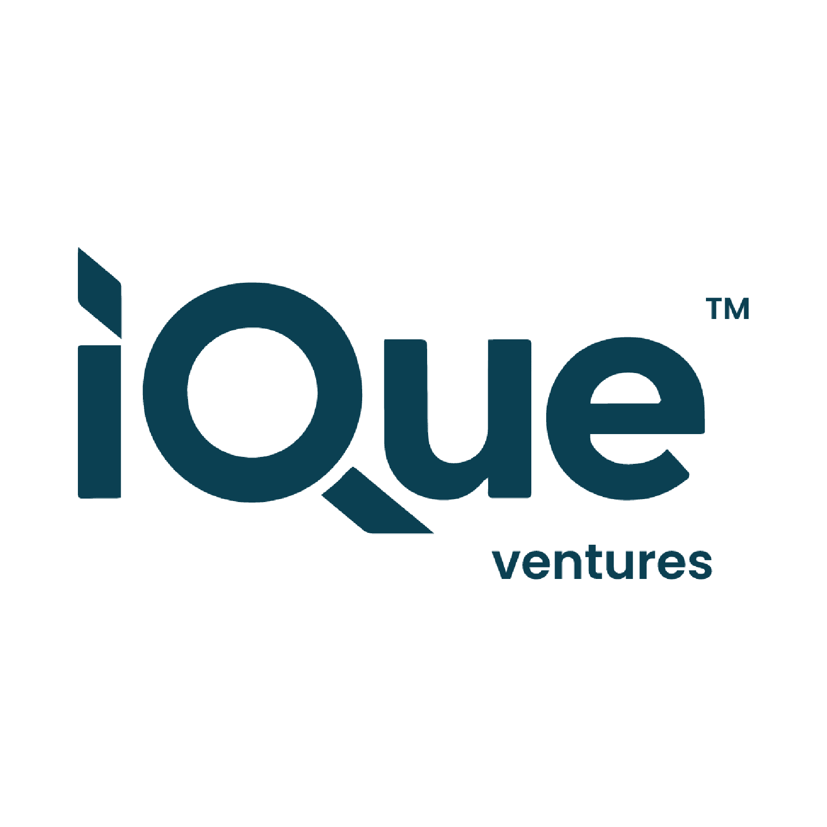 Logo 13